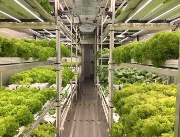 growcer.jpg (202 KB)